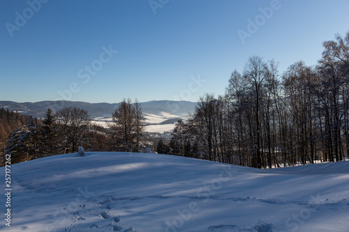 Winter panorama landscape with forest, trees covered snow and sunrise. winterly morning of a new day. winter landscape with sunset, panoramic view © Roman's portfolio