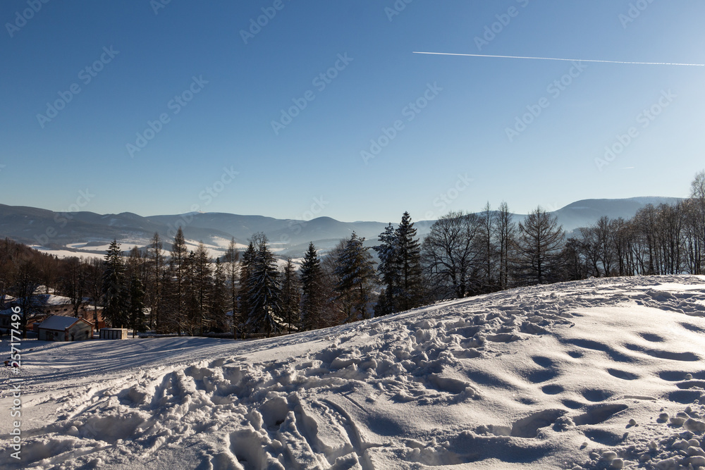 Winter panorama landscape with forest, trees covered snow and sunrise. winterly morning of a new day. winter landscape with sunset, panoramic view