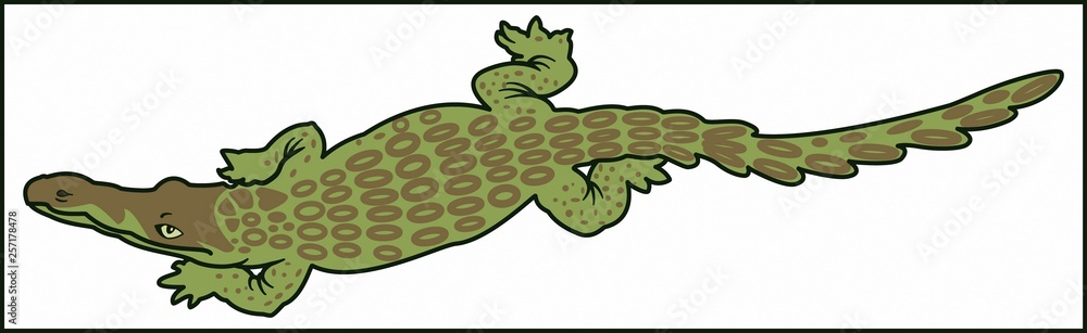 Obraz premium CROCODILE PREDATORY ANIMAL