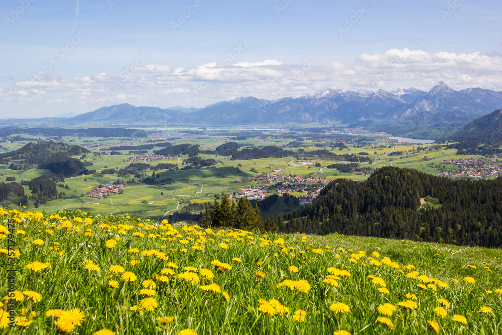 Fototapeta premium Frühling in der Alpenvorlandschaft