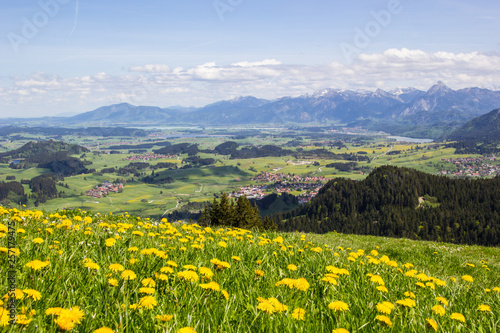 Frühling in der Alpenvorlandschaft