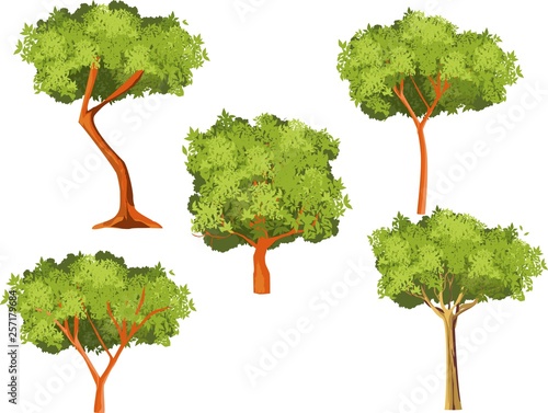 Vector trees set isolated on white vector