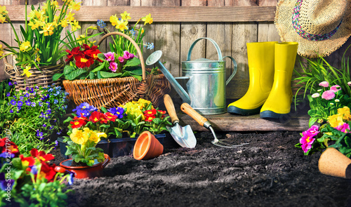 Planting flowers in sunny garden.