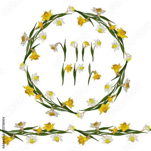 Set with white and yellow daffodils. Round frame, endless horizontal border and elements on white background. Romantic floral elements for season greeting cards, posters, advertisement