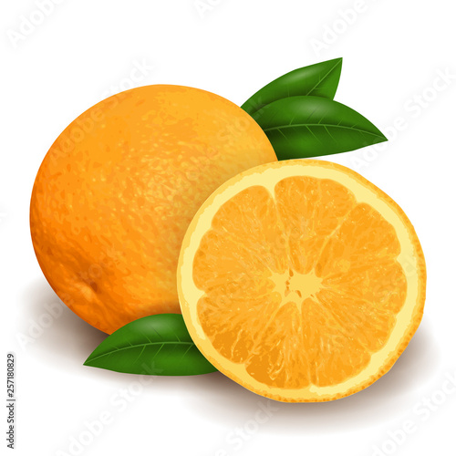 Fresh orange and slice isolated on white background, realistic 3D design. Vector