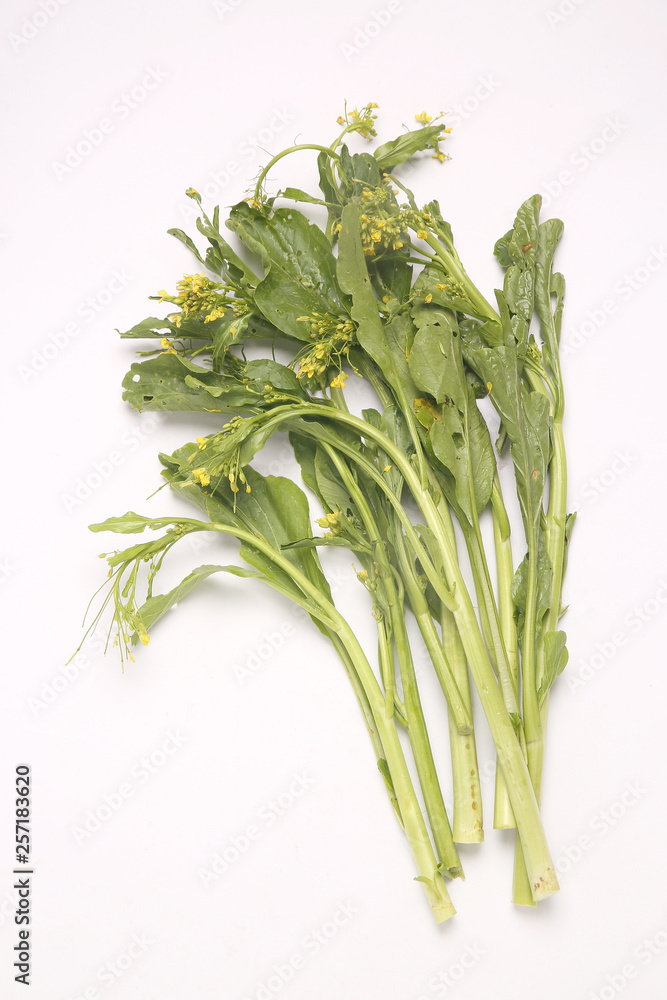 Obraz premium パック・クワントゥン