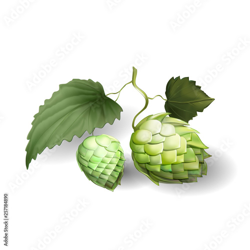 cones hop