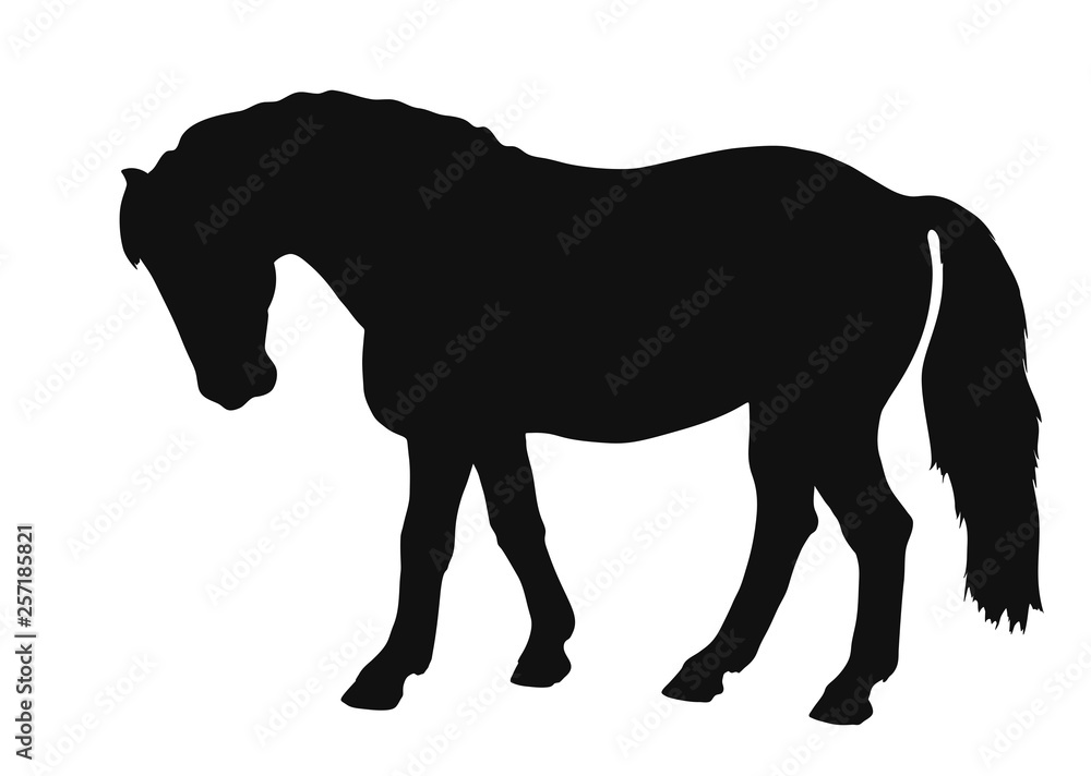 Vector sketch of a pony exterior. Vector sketch of a pony exterior.