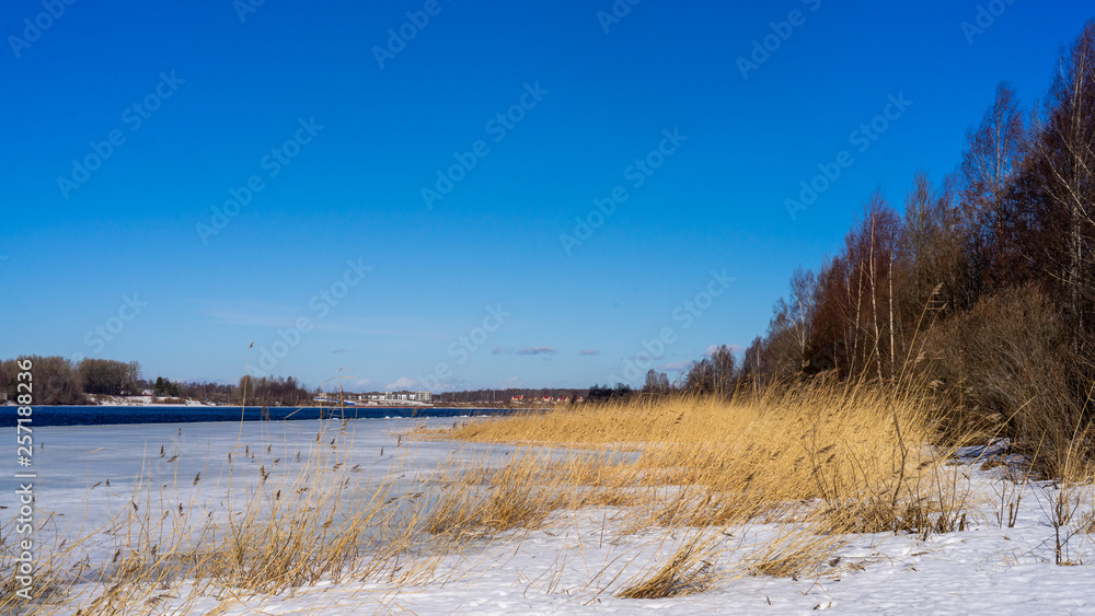 spring landscapes in the forest and on the river spring landscapes in the forest and on the river