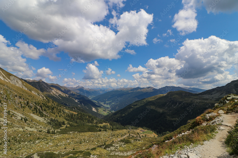 Fototapeta premium Meran 2000