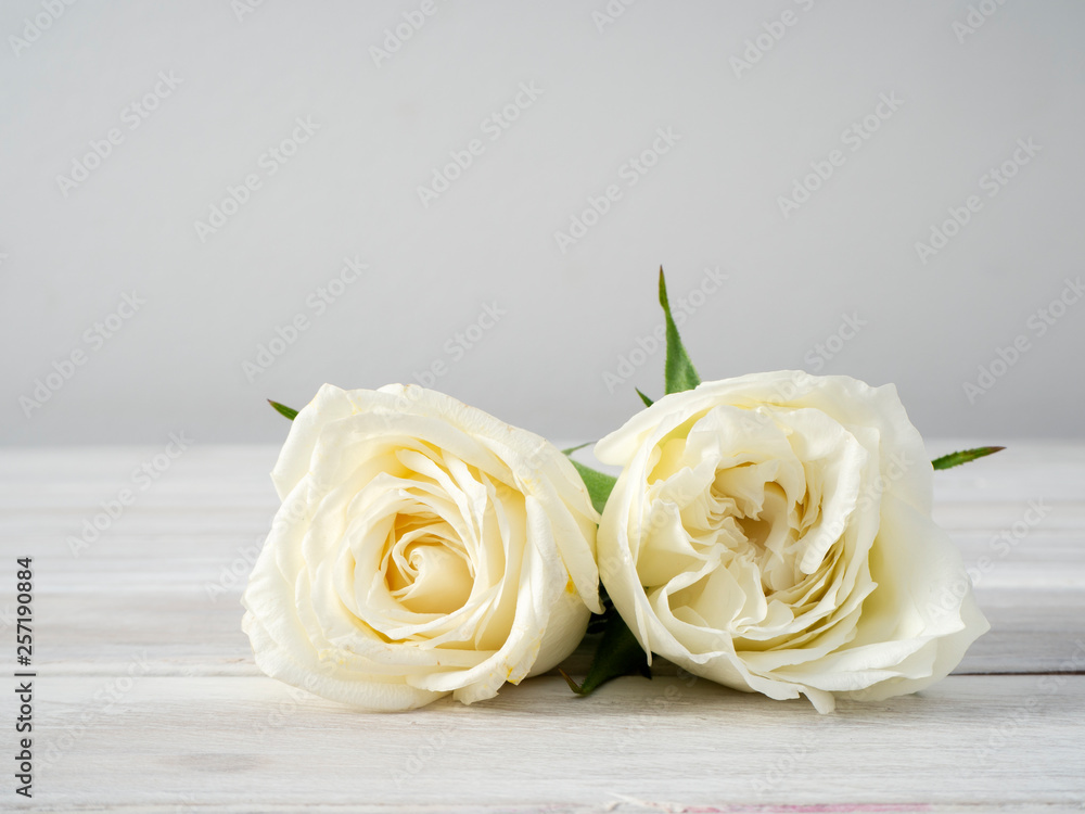 Fototapeta premium White roses on a white wooden table