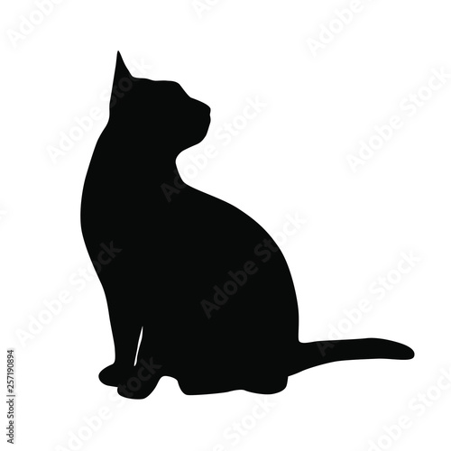 Vector silhouette of the cat  sitting,  black color, isolated on white background