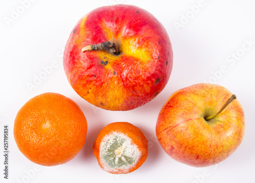 Old and fresh apple and moldy and fresh mandarin isolated on white background.