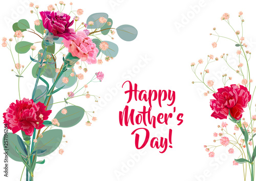 Horizontal Mother's Day card with carnation: red, pink, flowers, twigs gypsophile, leaves eucalyptus, white background. Templates for design, vintage botanical illustration in watercolor style, vector