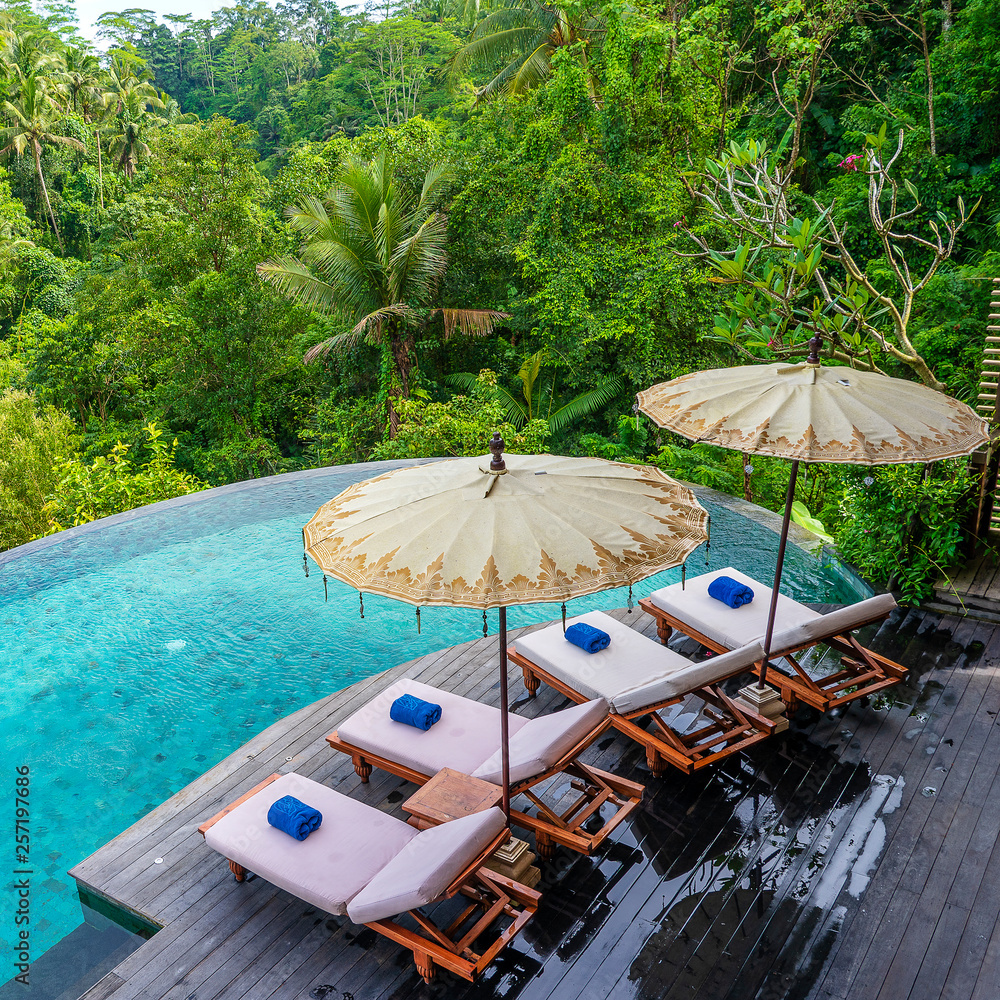 View of the swimming pool water and sunbeds in the tropical jungle near Ubud, Bali, Indonesia , top view