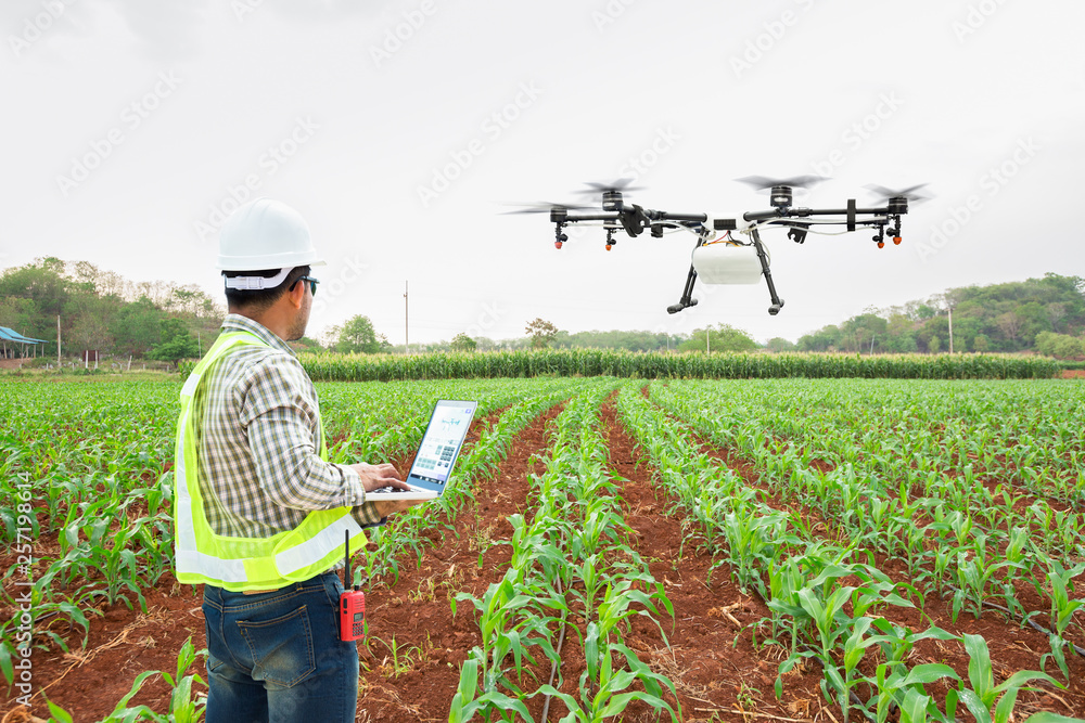 Technician farmer use wifi computer control agriculture drone fly to sprayed fertilizer on corn fields, Smart farm 4.0 concept - obrazy, fototapety, plakaty 
