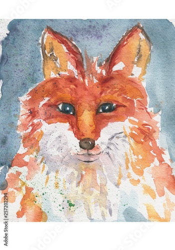 Watercolor illustration of a fox. Hand-drawn for you with watercolors © Анна Давыденкова