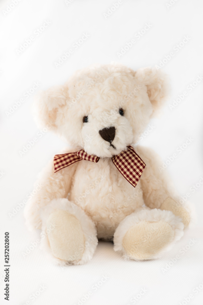 teddy bear with ribbon