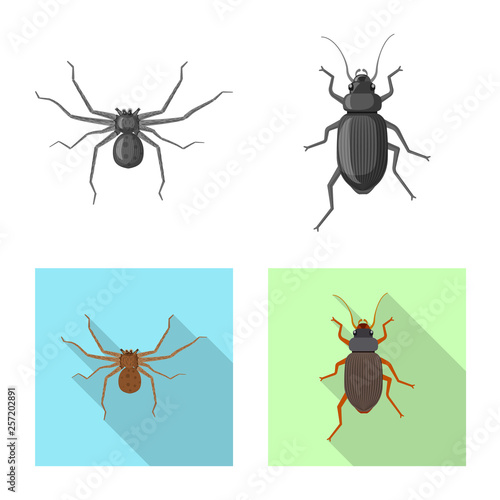 Isolated object of insect and fly icon. Set of insect and element stock vector illustration. © Svitlana