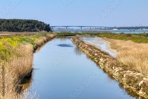 The Aiedda canal in the La Vela swamp  Palude La Vela  in the city of Taranto  Puglia  Italy