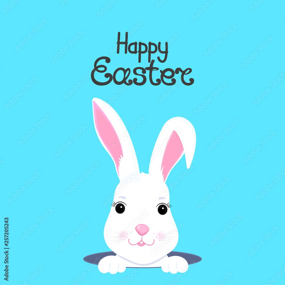 Cute rabbit looks out of the hole. Happy Easter. Cute rabbit looks out of the hole. Happy Easter.