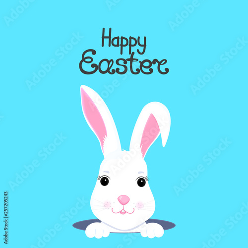 Cute rabbit looks out of the hole. Happy Easter.