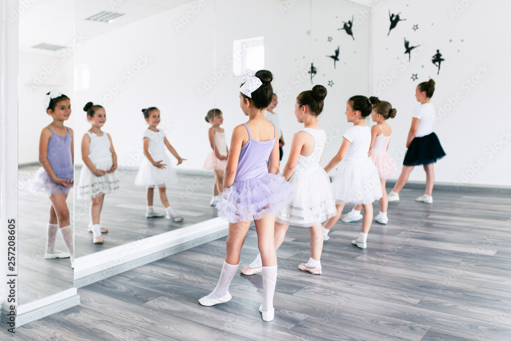 Naklejka premium Group of beautiful little girls practicing ballet at dancing class.