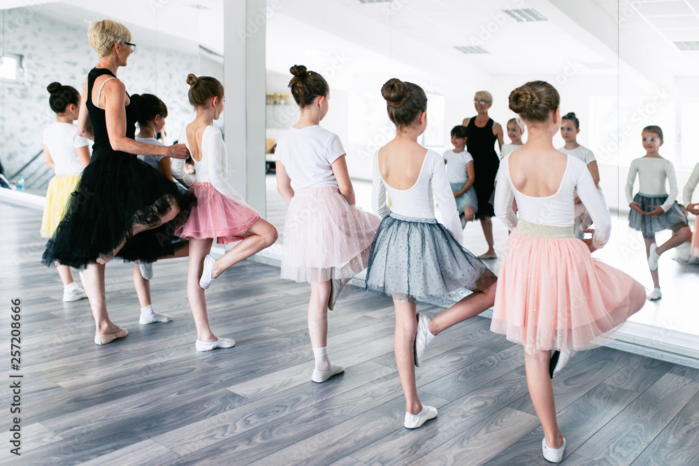 Group of beautiful little girls practicing ballet at dancing class. Group of beautiful little girls practicing ballet at dancing class.