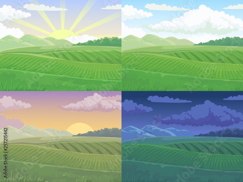 Summer field. Green hill, daytime fields landscape and spring hills cartoon vector illustration background