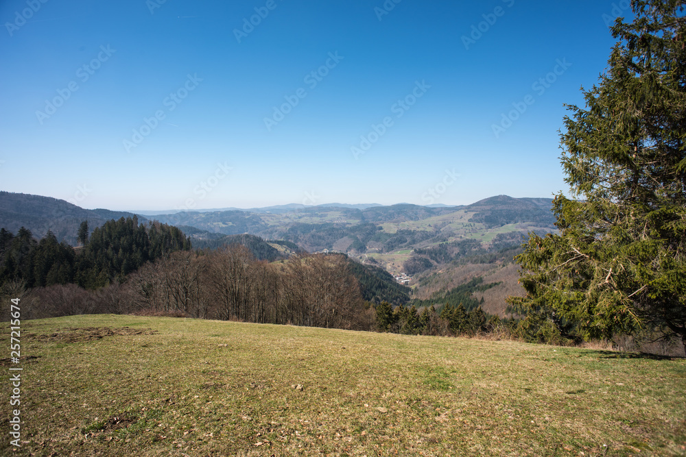 landscape in southern part from black forest germany.