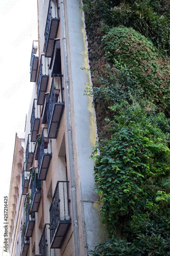 Obraz premium Caixa Forum Madrid and the vertical garden of Patrick Blanc