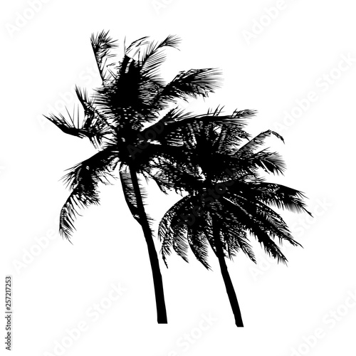 black silhouette coconut tree swayed by the wind  isolated natural plant sign  vector illustration