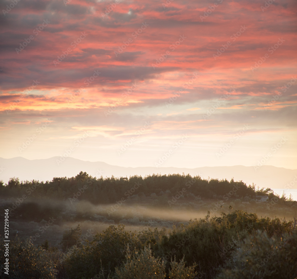 Fototapeta premium sunset over field