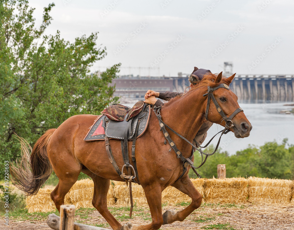 Ukrainian Cossack doing tricks on a horse. Khortytsia island, Ukraine. Ukrainian Cossack doing tricks on a horse. Khortytsia island, Ukraine.