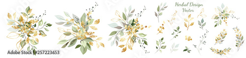 Arrangement of decorative leaves and gold elements. Set: leaves, twigs, herbs, compositions of leaves, gold elements. Vector design.
