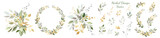 Set. Arrangement of decorative leaves and gold elements. Collection: leaves, twigs, herbs, leaf compositions, gold, wreath. Vector design.