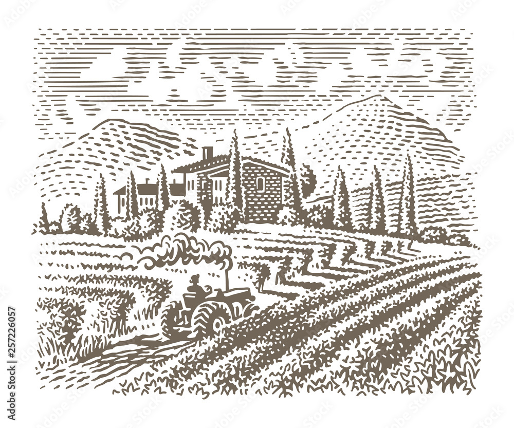 Engraving style illustration of an european vineyard (farm). Vector