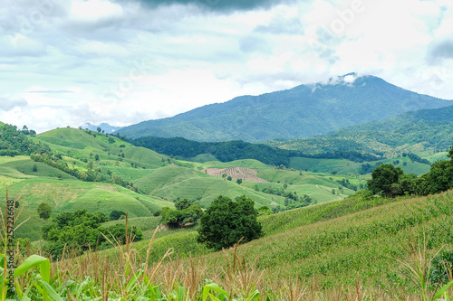 the mountains that full of corn field