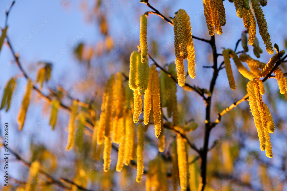 Naklejka premium Winter Herbst