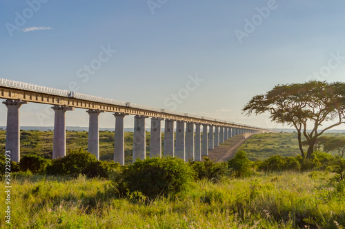 View of the viaduct of the Nairobi railroad © Demande Philippe