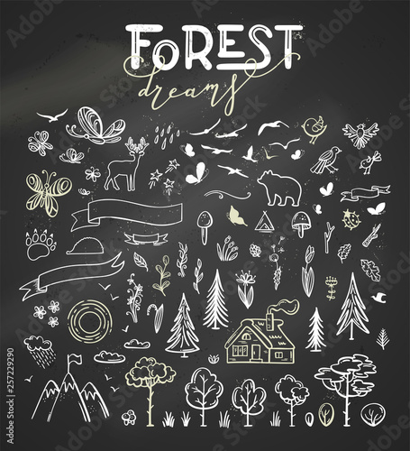 Vector set of nature doodles.