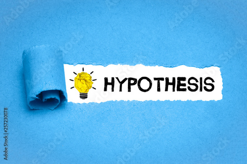 Bild auf Leinwand Hypothesis