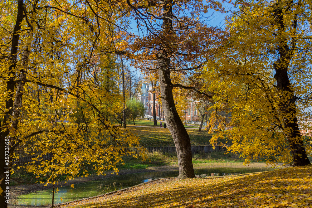 MOSCOW, RUSSIA - October 15, 2018: Autumn trees  in Tsaritsyno park