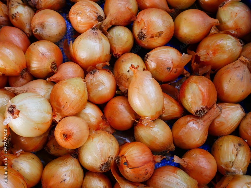 organic onion garlic in Myanmar market,Asia onion farm organic onion garlic in Myanmar market,Asia onion farm