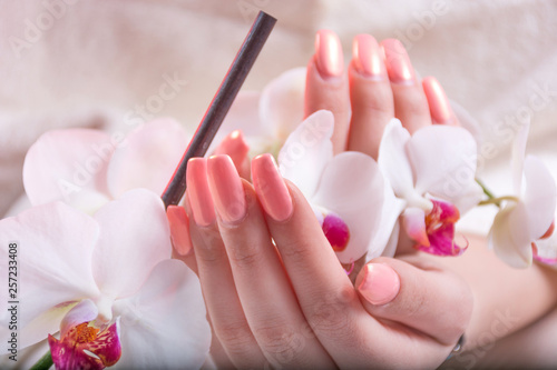 Female hands with gently pink nails polish spring color holding white orchids flower in beauty studio. Manicure and Beauty concept. Close up, selective focus