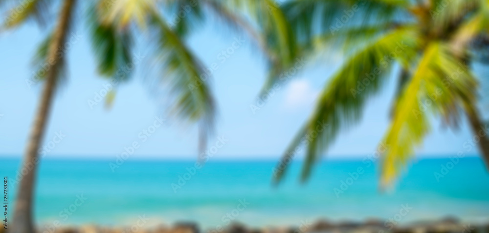Beach, palm trees, sand, blue sky - a place for holidays and recreation. Soft focus background for lettering.