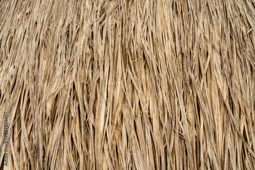 Background or texture of dries straw wall.Dry, loose straw in the sunlight in close-up.