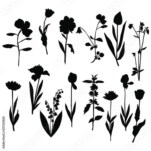 Vector silhouette flowers, rose, tulip, lily of the valley, dandelion, black color, isolated on white background