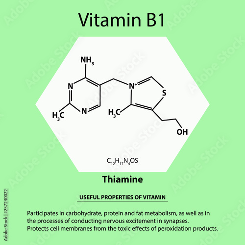 Vitamin B1. Thiamine Molecular chemical formula. Useful properties of vitamin. Infographics. Vector illustration on isolated background.
