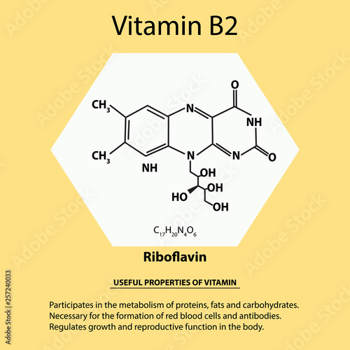 Vitamin B2. Riboflavin Molecular chemical formula. Useful properties of vitamin. Infographics. Vector illustration on isolated background.